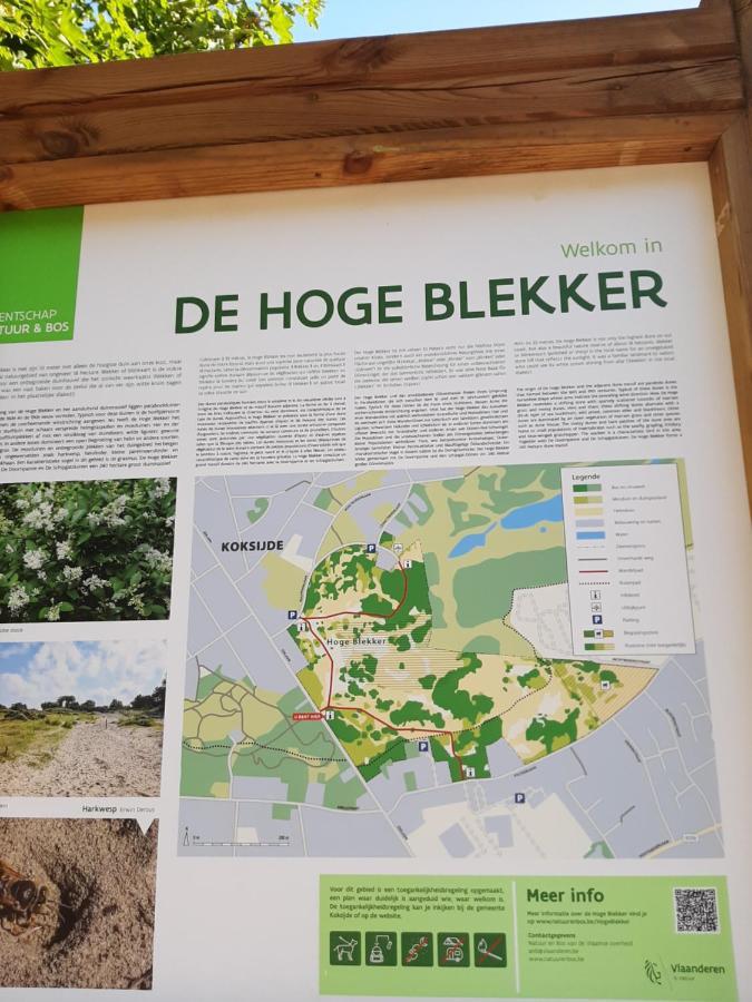 Blekkerke Villa Koksijde Exteriör bild